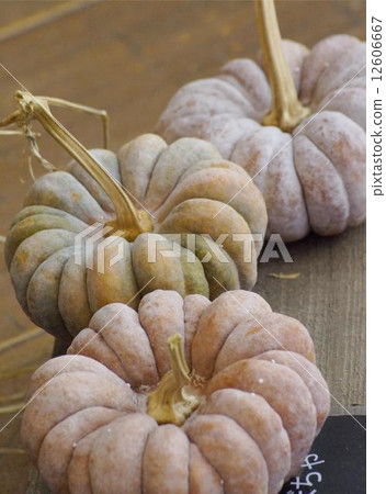 Two phone pumpkin 12606667