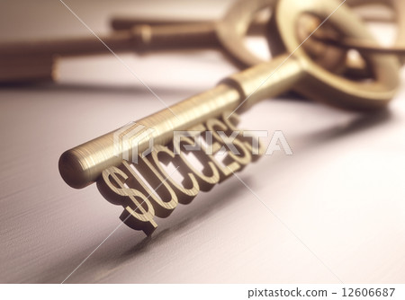 Success Key 12606687