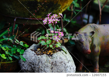 Capital letter grass 12607155