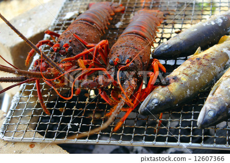 蝦伊勢和阿玉 蝦伊勢和阿玉 12607366