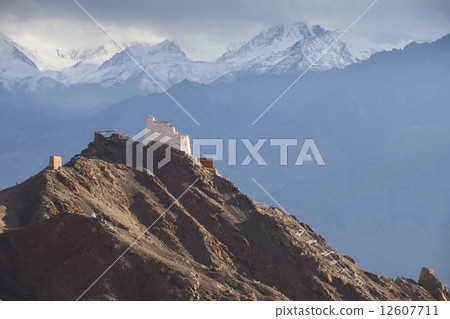 Tsemo Gompa, Leh, Ladakh, Jammu & Kashmir, India 12607711