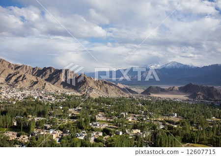 View of Leh city View of Leh city 12607715