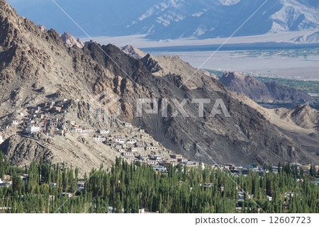 View of Leh city 12607723