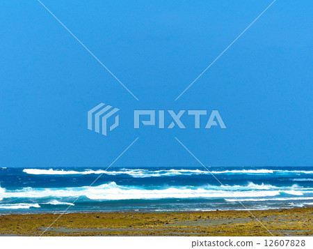 Surging waves 12607828