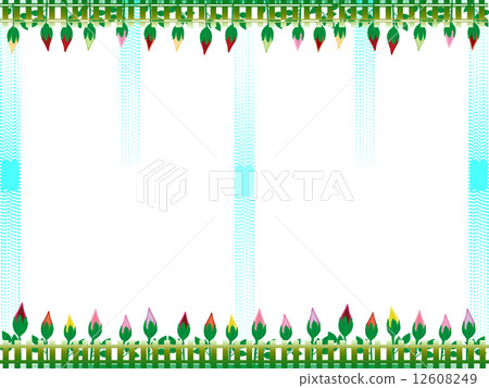 玫瑰框架，玫瑰，生態 12608249