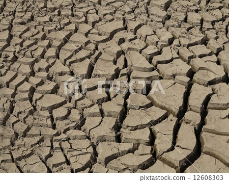 Depletion 12608303