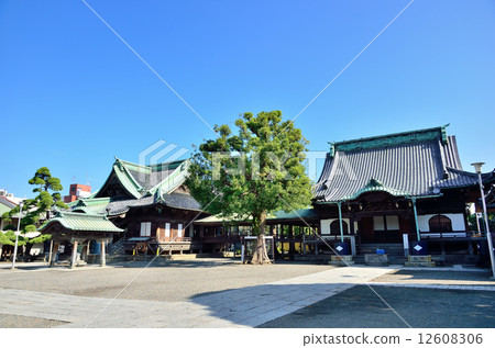  Shibamata Takumi 12608306