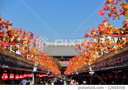 淺草寺 12608308