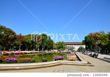 東京國立博物館 12608309