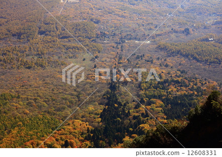 Autumn leaves of Togakushi Shrine as seen from Tottakeama 12608331