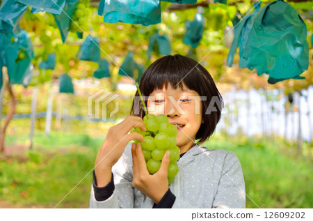 Girls enjoying grape hunting Girls enjoying grape hunting 12609202