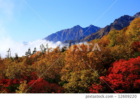登山山路在秋天 登山山路在秋天 12609220