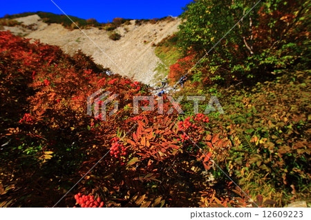Autumn mountains Autumn mountains 12609223