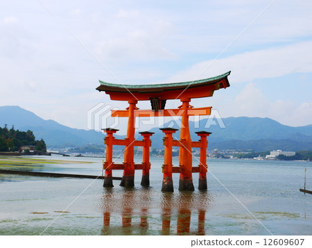 鳥居 鳥居 12609607