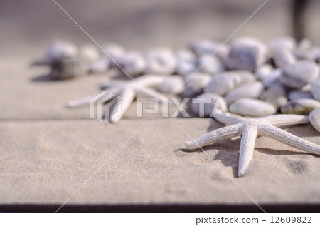 view of Starfishs and White Stone on Sand background view of Starfishs and White Stone on Sand background 12609822