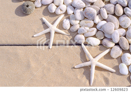 Top view of Starfishs and White Stone on Sand background Top view of Starfishs and White Stone on Sand background 12609823