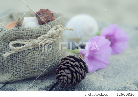 Memories from the sea for postcard or Poster Memories from the sea for postcard or Poster 12609826