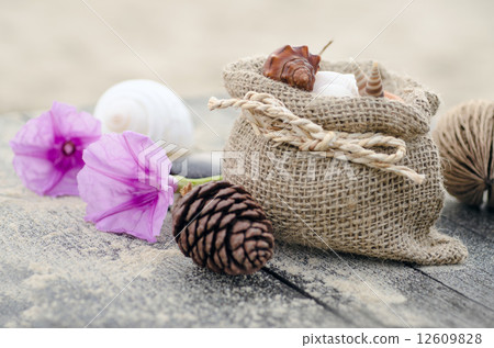 Memories from the sea for postcard or Poster 12609828