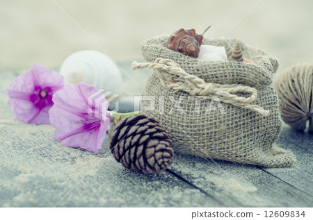 Memories from the sea for postcard or Poster Memories from the sea for postcard or Poster 12609834