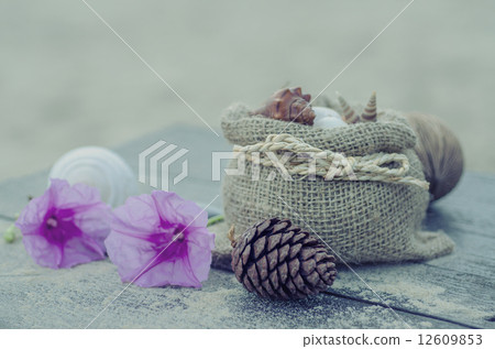 Memories from the sea for postcard or Poster Memories from the sea for postcard or Poster 12609853