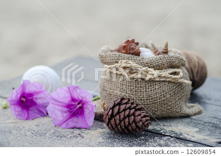 Memories from the sea for postcard or Poster Memories from the sea for postcard or Poster 12609854