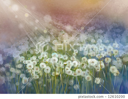 Vintage oil painting flowers plant.Wild flower field at sunrise Vintage oil painting flowers plant.Wild flower field at sunrise 12610200