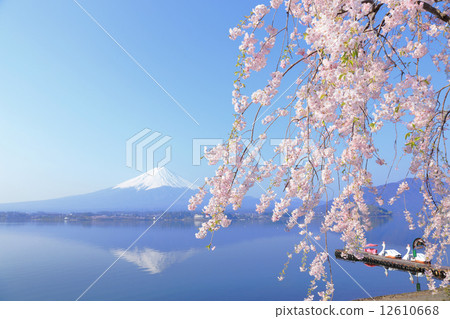 Kawaguchiko and Mt. Fuji 12610668