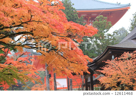 Konoyama, Kinshu Konoyama, Kinshu 12611468