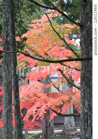 Konoyama, Kinshu Konoyama, Kinshu 12611469