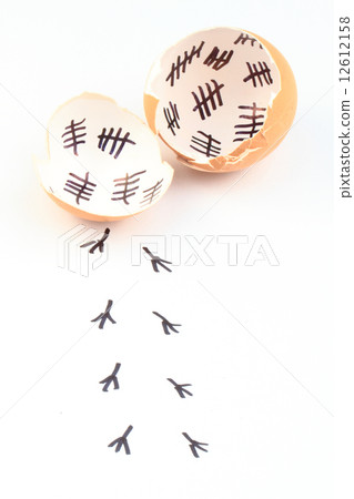 empty egg shells 12612158