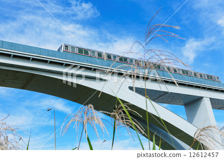 A pillar liner passing through a fan bridge over Arakawa 12612457