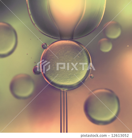 In Vitro In Vitro 12613052