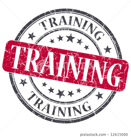 Training red grunge textured vintage isolated stamp Training red grunge textured vintage isolated stamp 12615000