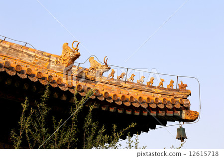 Roof decorations in Yonghe Temple (Lama Temple) in Beijing, China 12615718