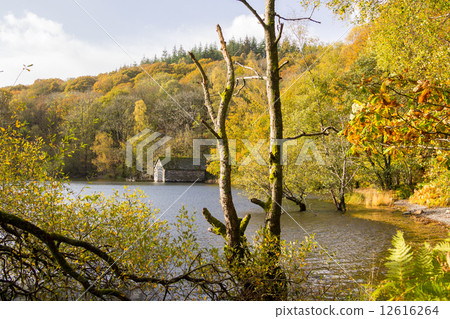 The autumn leaves of Lake Windermere, Lake Windermere The autumn leaves of Lake Windermere, Lake Windermere 12616264