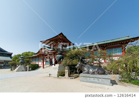 Hofute Tenman-gu（Sakura-monon） 12616414