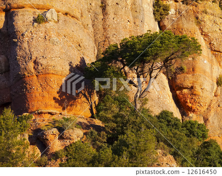 La Mola, Sant Llorenc Natural Park 12616450