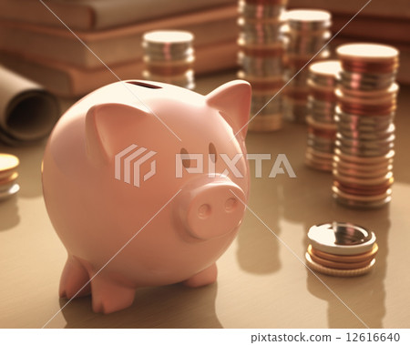 Piggy Bank 12616640