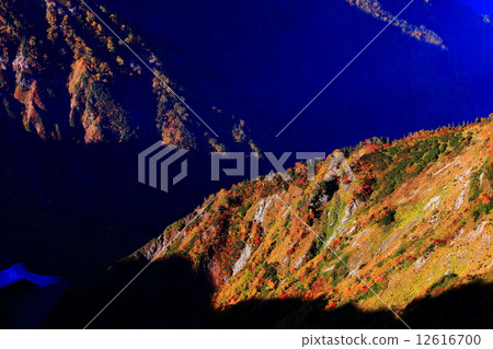 秋穀 秋穀 12616700