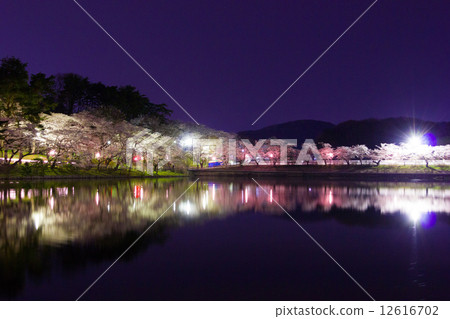 在高松池塘的櫻桃樹在晚上 12616702