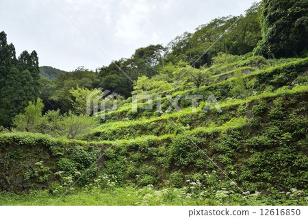 Shimizuya煉油廠的Iwami Ginzan銀礦 Shimizuya煉油廠的Iwami Ginzan銀礦 12616850