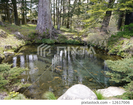 忍野Hakkai底部拳(oshino) 忍野Hakkai底部拳(oshino) 12617006