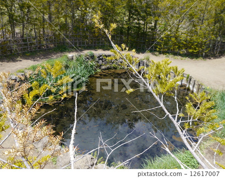 Oshino Hakkai Choshi Pond (oshino) 12617007