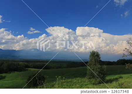 Asama highland in summer 12617348