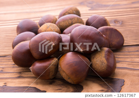 丹波板栗 12617367