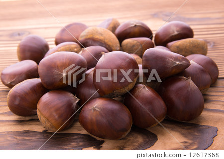丹波板栗 12617368