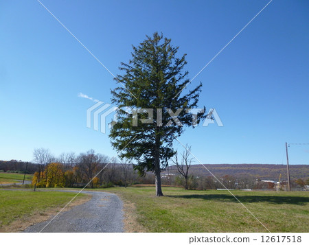 Autumn landscape in the USA 12617518