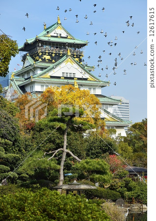 Osaka Castle in Autumn 12617615
