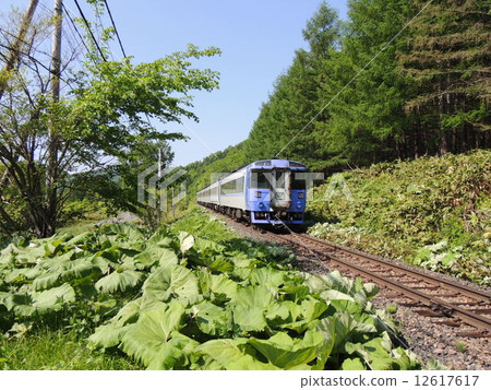 Limited Express Okhotsk 12617617