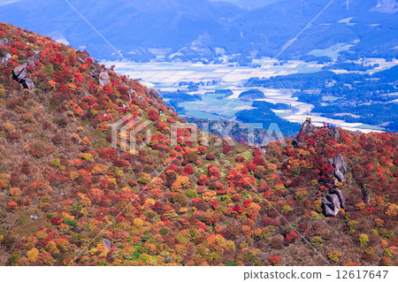 Autumn leaves of Mt. Minamata 12617647